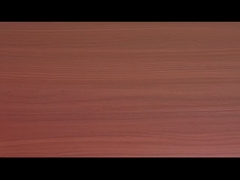 الفيرميسيلي والمعكرونة الفورية مع طعم لحم البقر الطماطم المقبولة OEM